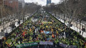 Tractores y personas a pie de la protesta agrícola convocada este lunes en la ciudad de Madrid que ha llegado hasta el Ministerio de Agricultura, Pesca y Alimentación, ya en la capital, tras salir a primera hora de la mañana del municipio de Arganda del Rey (Madrid).