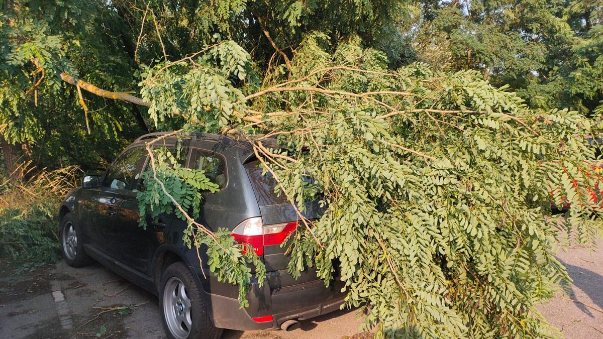 Uno de los árboles caídos sobre un coche estacionado en Lalín tras la tormenta explosiva