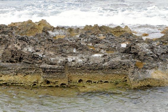 Auf Na Galera bei Can Pastilla haben Archäologen auf eigene Faust bis zu 4.500 Jahre alte Überreste ausgegraben. Im Sommer bieten sie jeden Donnerstag Führungen an.