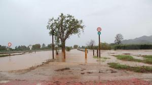 Carril bici anegado, este viernes en las Terres de lEbre, tras las lluvias de estos días.