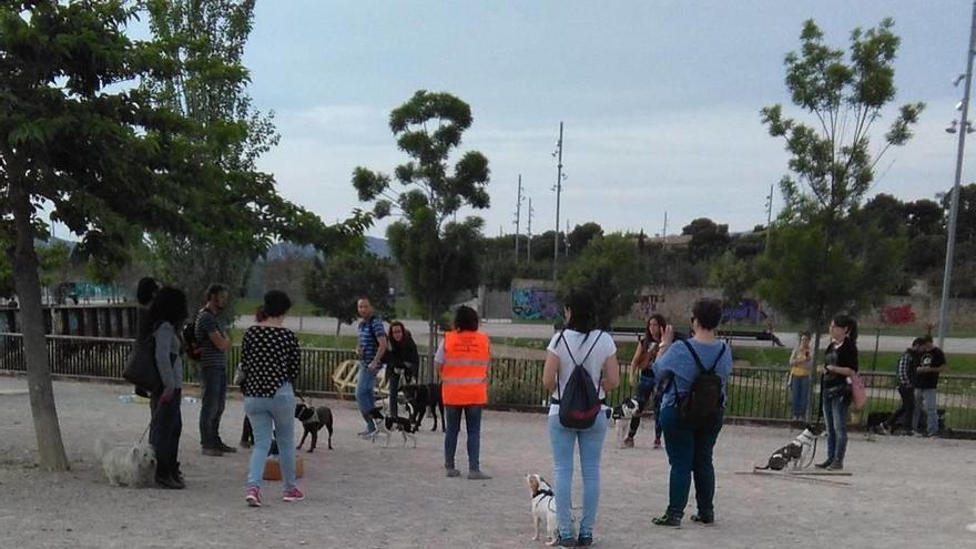 Los participantes, en la clase que se impartió el lunes en la Falca Verda.