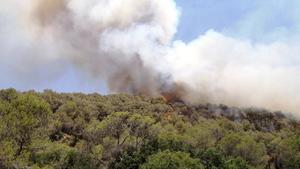 Declarado un nuevo incendio de vegetación forestal en Olivella (Barcelona)