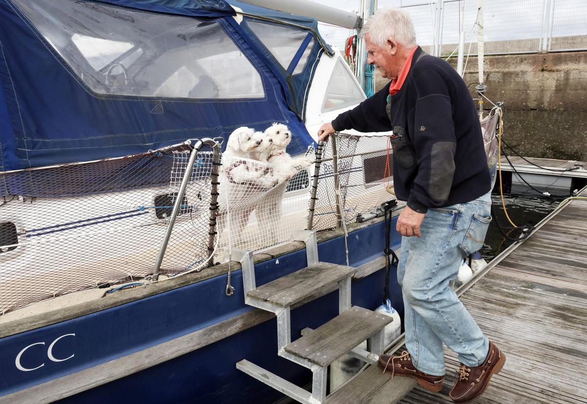 Rafael, subiendo a su barco ante sus perras bichón maltés (Cala, Mía y Nata)