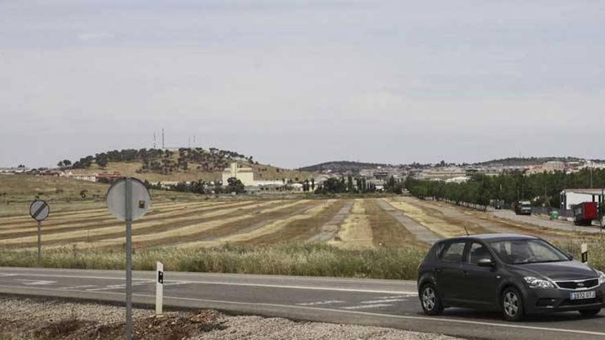 La agrupación del ferial de Cáceres pondrá en el mercado 15 hectáreas de suelo comercial