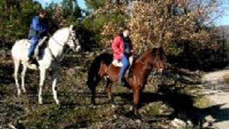 La Guardia Civil y voluntarios peinan Valverde sin resultado