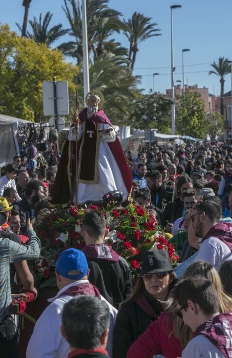 Celebración de San Antón en Elche