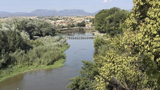 El riu Ter a l’altura de Manlleu. | LAURA BUSQUETS / ACN