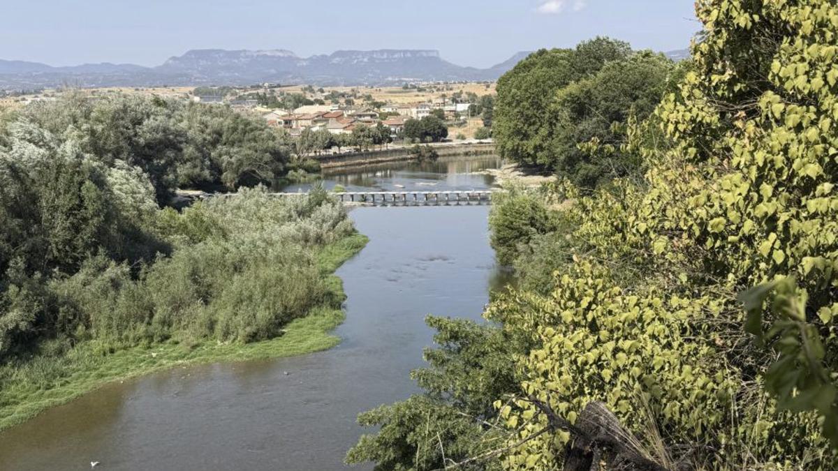 El riu Ter a l’altura de Manlleu. | LAURA BUSQUETS / ACN