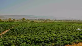 Vega de Mestanza: Ecologistas reclaman una solución definitiva a la EDAR Málaga Norte
