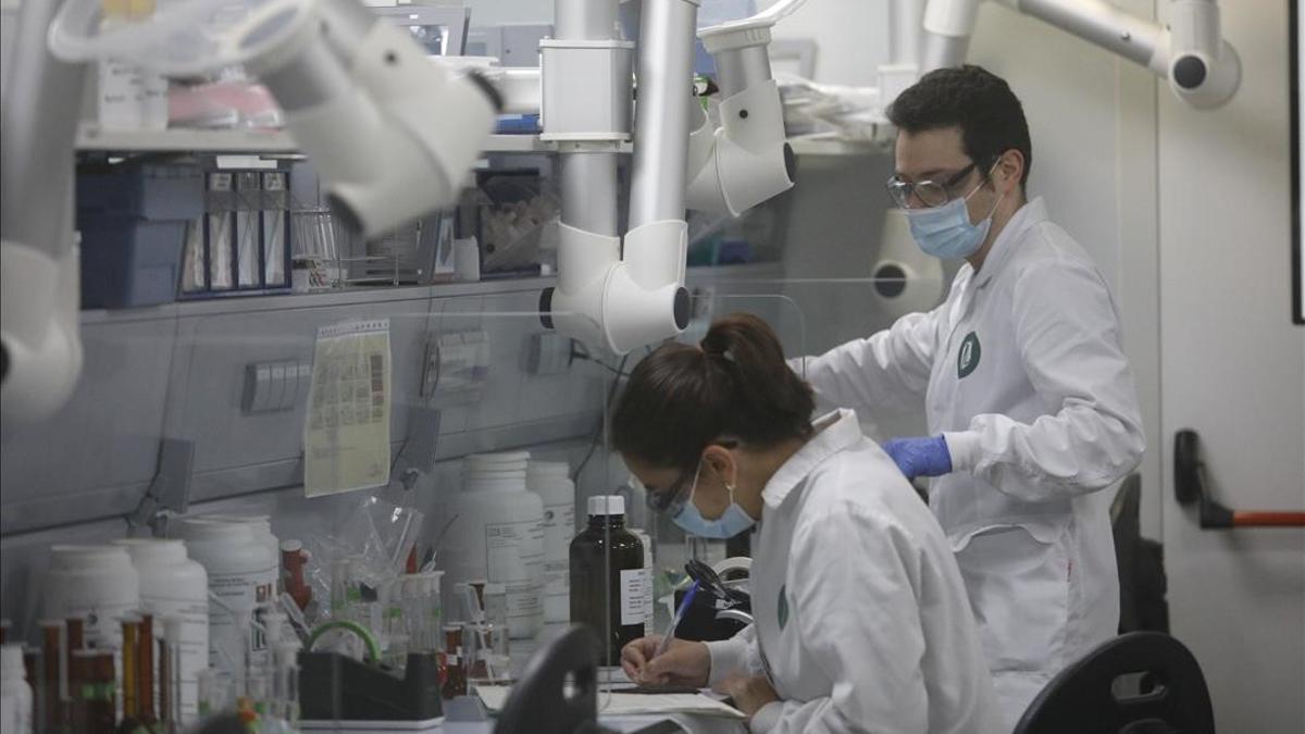 Varios trabajadores en el laboratorio de la fabrica de Reig Jofre en Barcelona Cataluna (Espana) a 26 de marzo de 2021 Reig Jofre es una compania farmaceutica cotizada en el mercado continuo de la Bolsa espanola bajo el codigo RJF dedicada a la investigacion el desarrollo la fabricacion y la comercializacion de productos farmaceuticos y complementos alimenticios 26 MARZO 2021 INDUSTRIA LABORATORIO FARMACIA QUIMICOS INVESTIGADORES FARMACEUTICA Kike Rincon Europa Press 26 03 2021