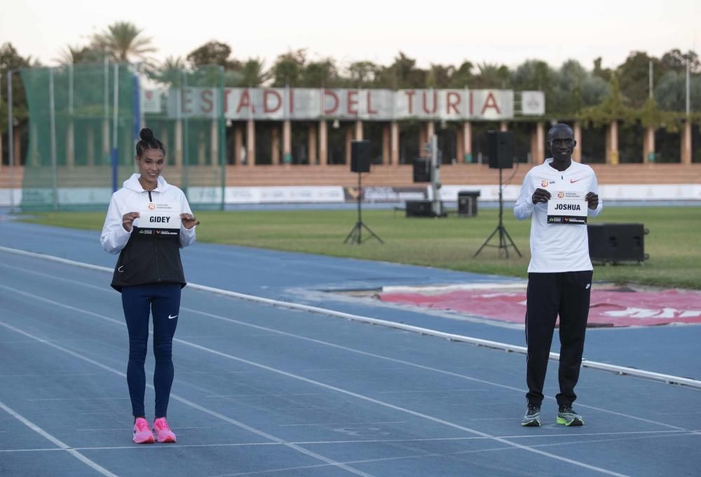 NN Valencia World Record Day