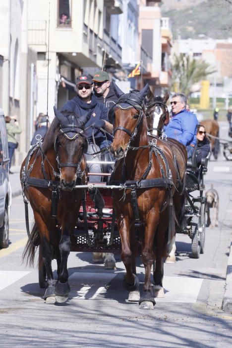 Festa de Sant Antoni Abad a Torroella de Montgrí