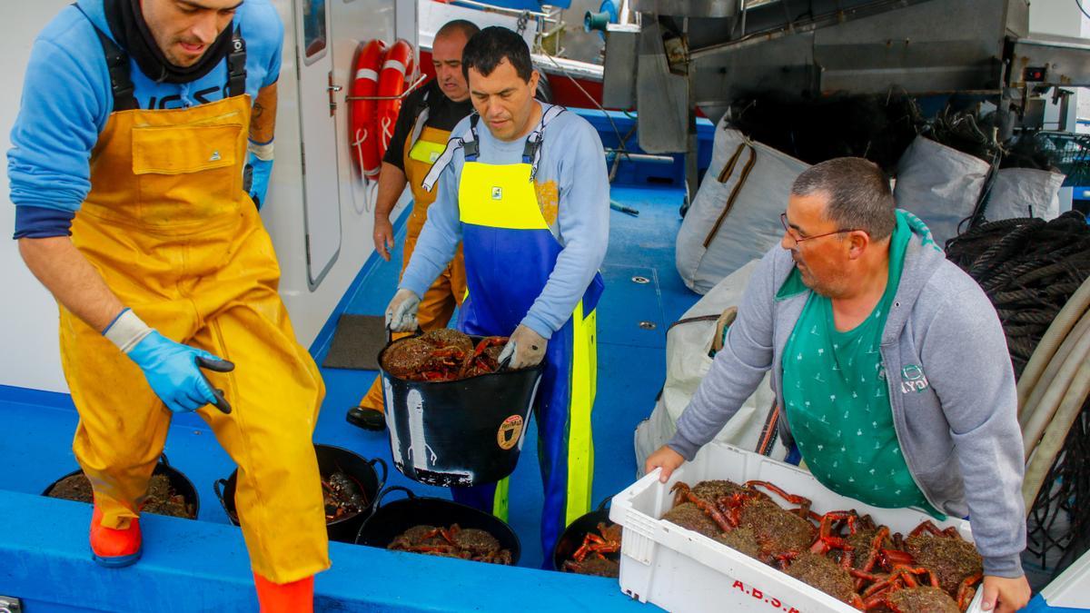 Descargas de centollo en el puerto.