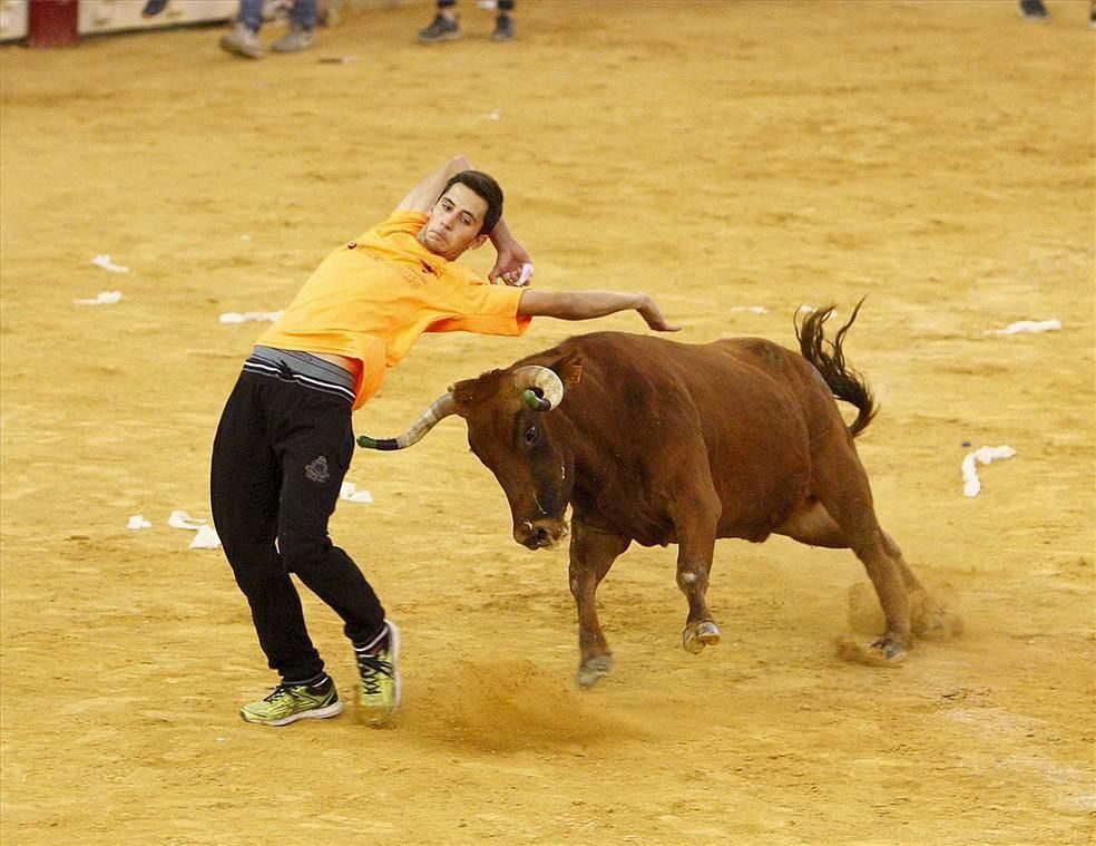 Mejores momentos de las Vaquillas