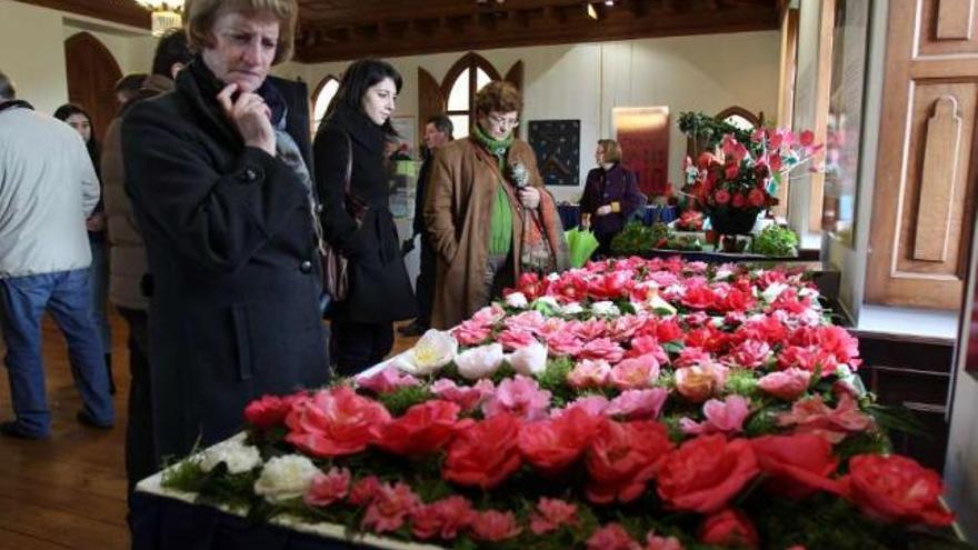 La calidad de las flores reina en el XIII Certamen de la Camelia en Soutomaior