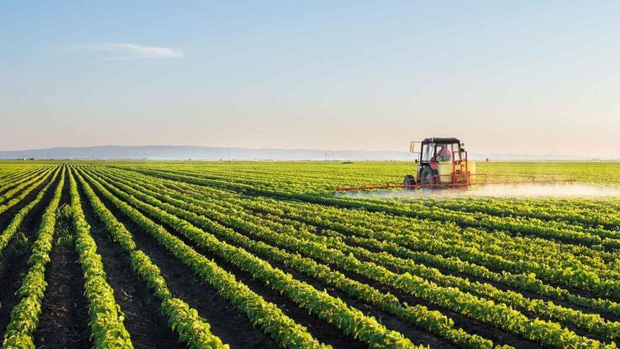 Bankia adelanta a los agricultores y ganaderos las ayudas de la PAC