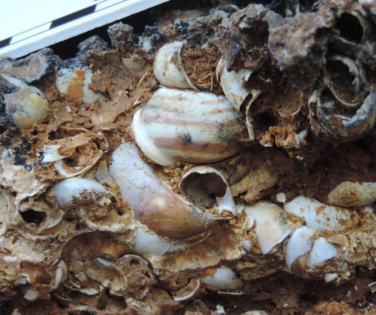 Gráfico en el que se representa cómo era la costa oriental asturiana en el pasado, una reconstrucción derivada del estudio liderado por la Universidad de Oviedo. Recoge la situación de la cueva de Cobijeru en tres momentos: hace más de 350.000 años, hace 65.000 años y en la actualidad.