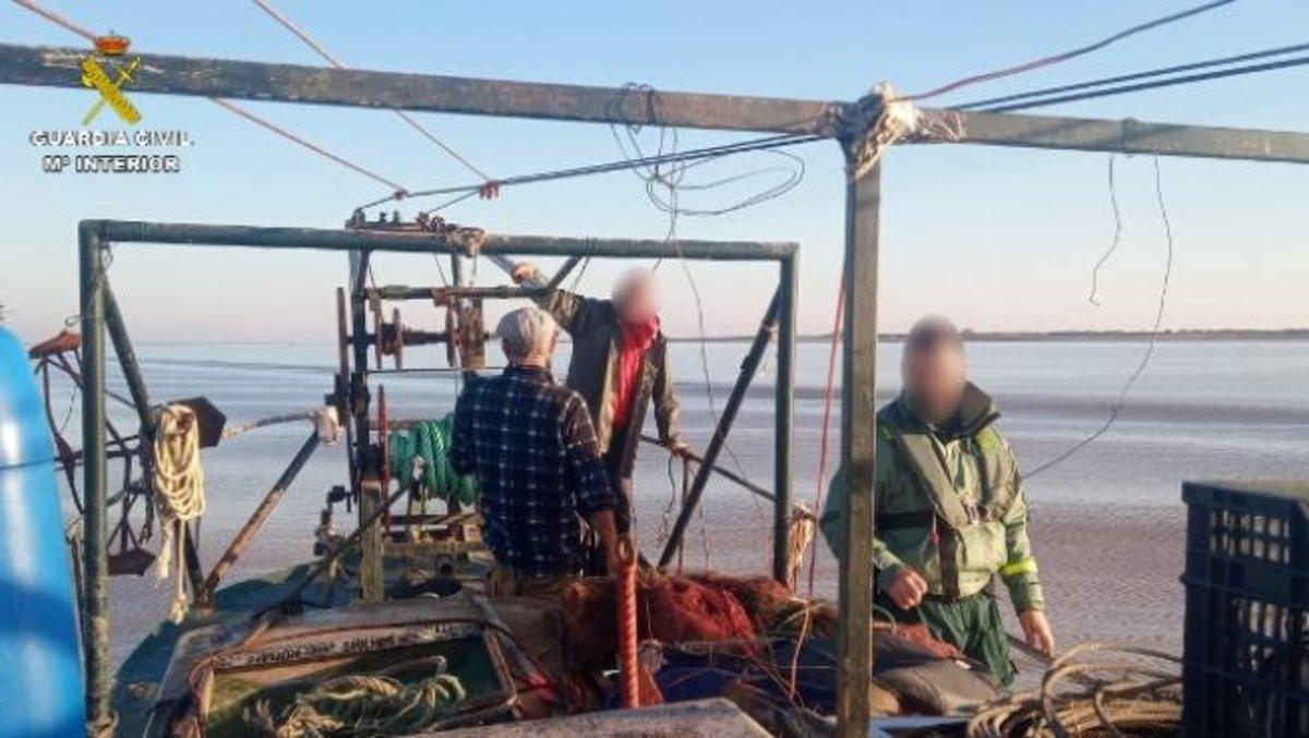 operacion-contra-la-pesca-ilegal-de-angulas