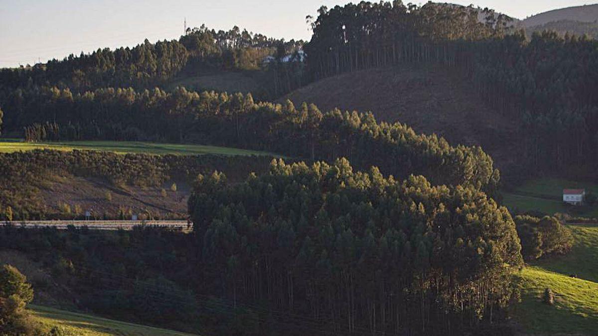 Panorámica de la parroquia de Molleda.