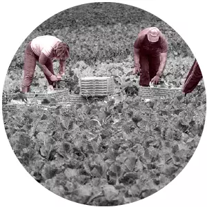 Temporeros y trabajadoras del hogar