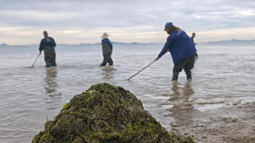La tormenta deja paso a la preocupación por el Mar Menor tras la entrada masiva de agua dulce