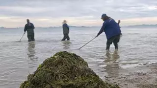 La tormenta deja paso a la preocupación por el Mar Menor tras la entrada masiva de agua dulce