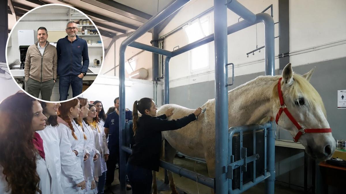 Centro de Medicina Deportiva Equina de la UCO en el fondo e investigadores del proyecto.