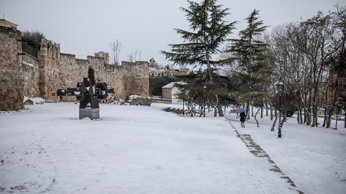 GALERÍA | Borrasca Filomena en Zamora, las imágenes del temporal