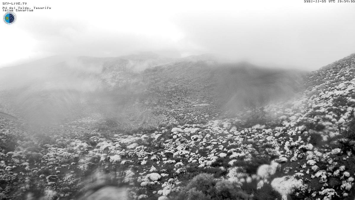 Comienza a caer nieve en el Teide según captan las cámaras del Instituto de Astrofísica de Canarias.