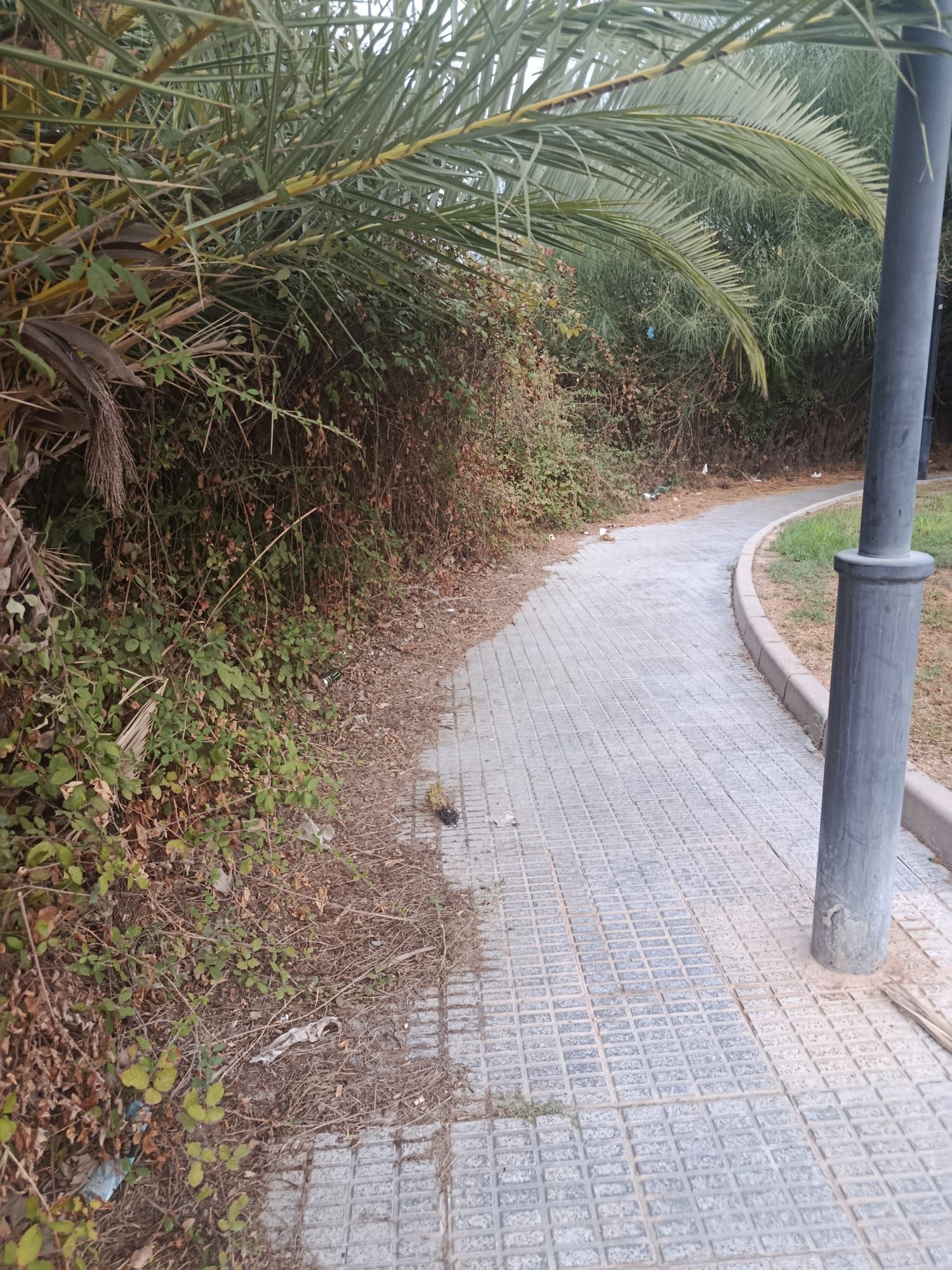 WhatsApp Image 2025-09-30 at 21.34.53 (4).jpeg