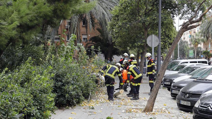 Daños provocados por el fuerte temporal de viento y lluvia en València