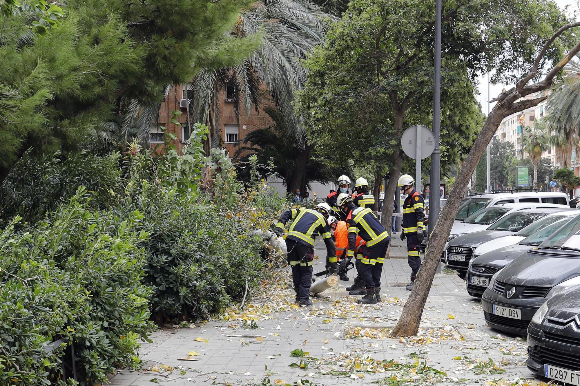 Daños provocados por el fuerte temporal de viento y lluvia en València