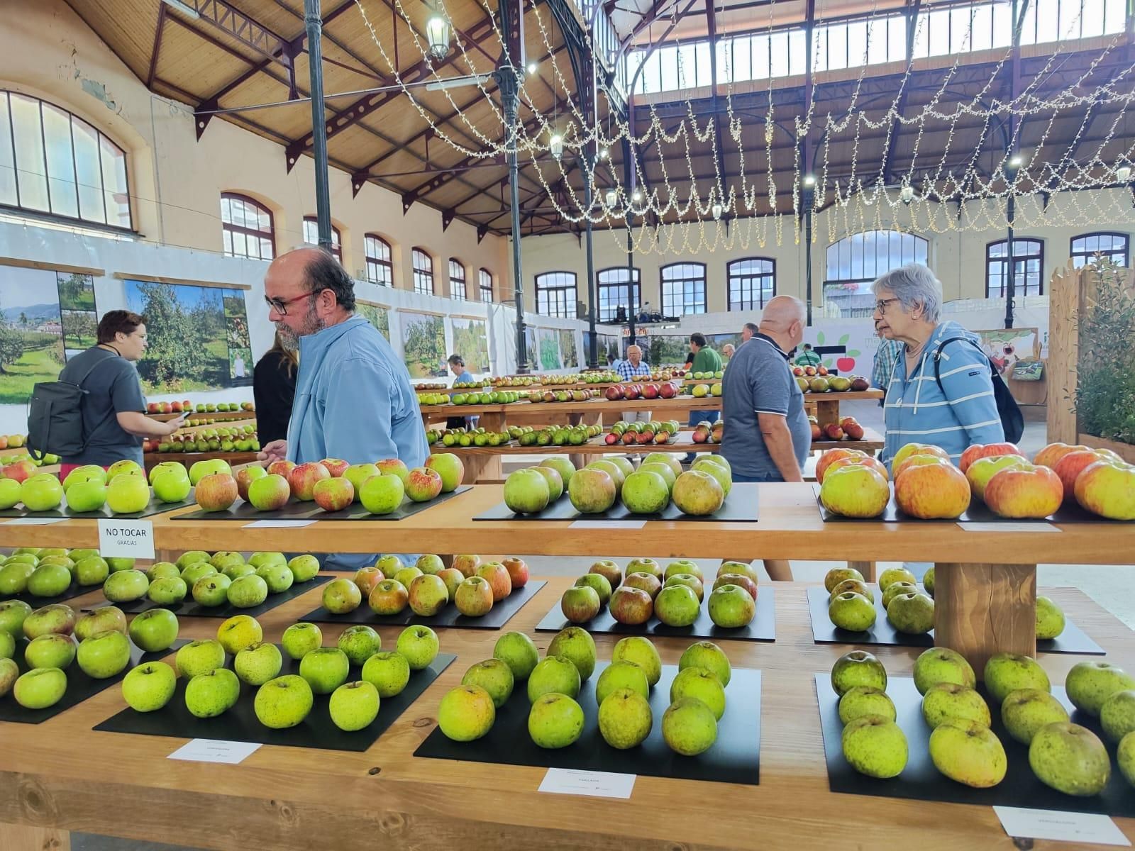 El Festival de la Manzana arranca en Villaviciosa: exposiciones, talleres y actividades infantiles