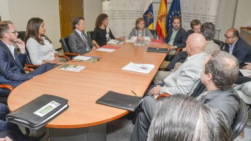 La consejera Francisca Luengo, al fondo, durante la reunión de ayer.