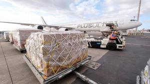 Imagen de archivo de un cargamento con material sanitario llegado a Gran Canaria en mayo de 2020.