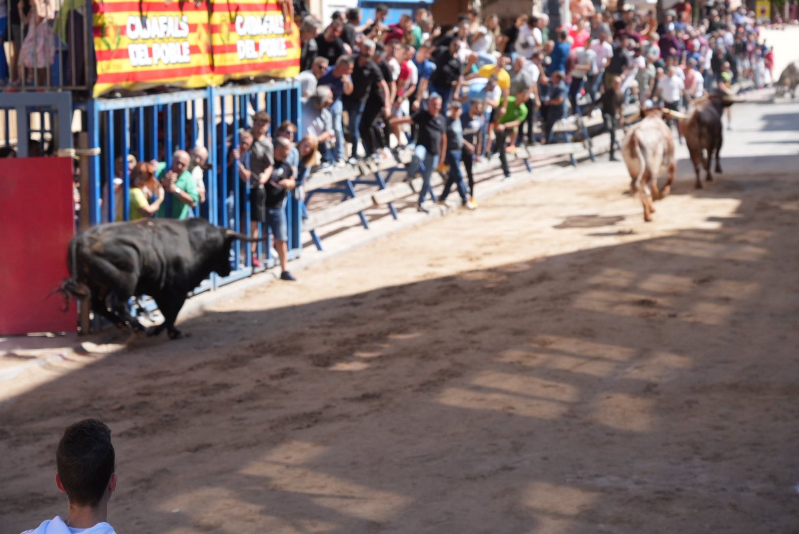 Las mejores imágenes de la jornada festiva en Vila-real