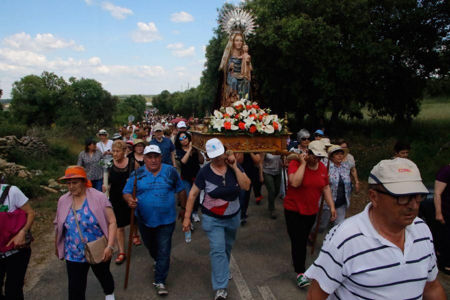 Romería de la Virgen del Castillo en Fariza