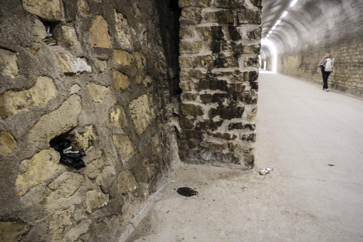 Vía Verde de Alicante en la Albufereta con excrementos de perros por falta de papeleras