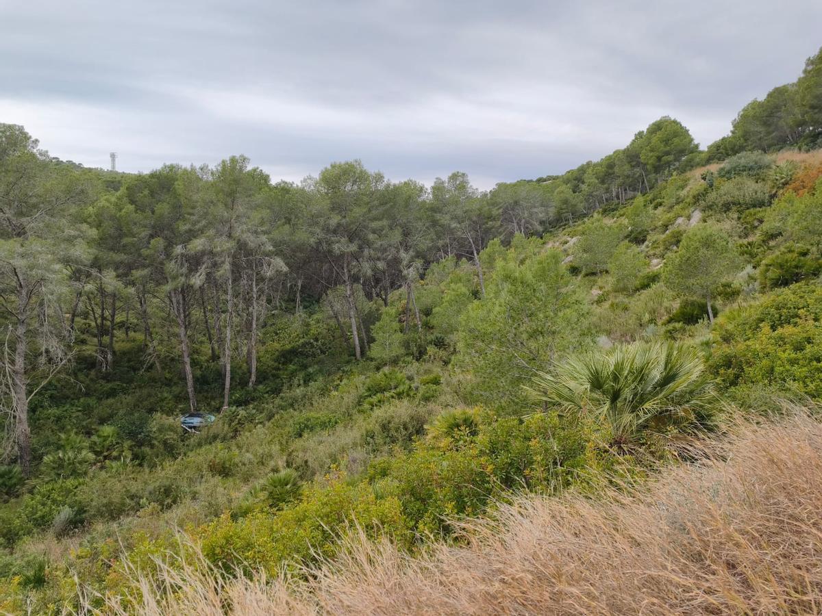 Una imagen del lugar donde se encuentra el vehículo de Sonia.