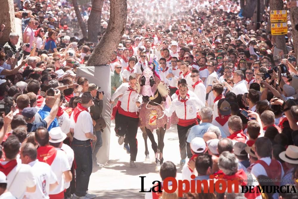 Carrera de los Caballos del Vino