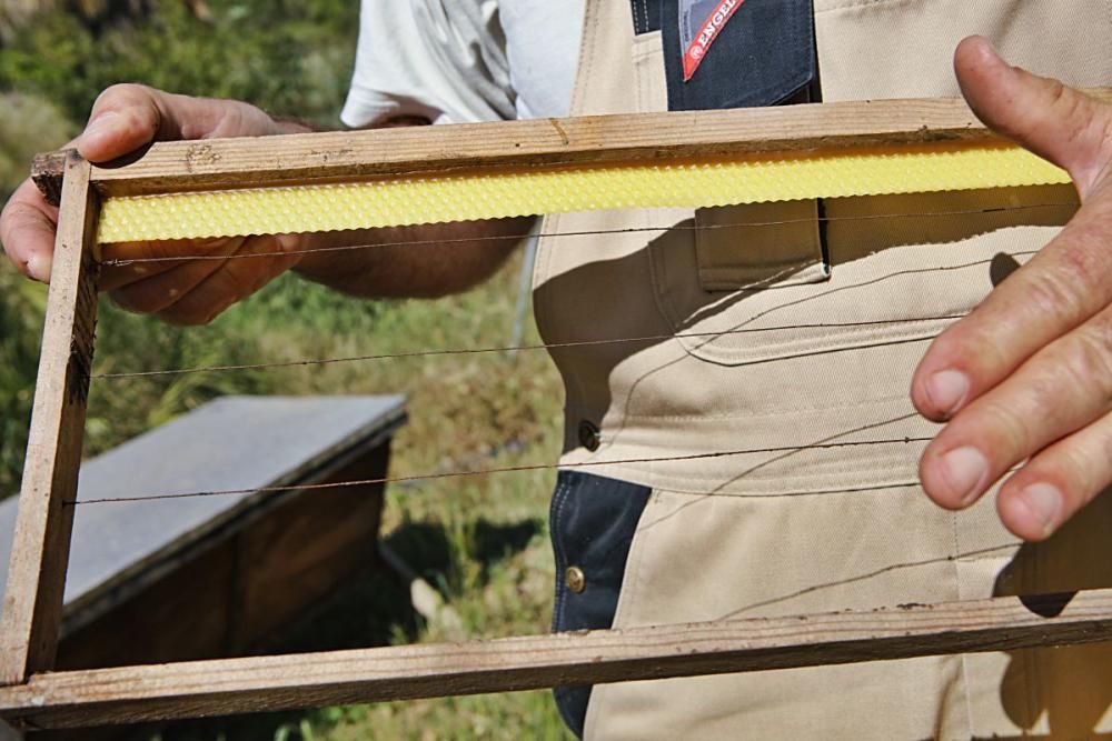 Der Regen im Mai hat den Pflanzen einen zweiten Frühling und den Bienen Pollen sowie Nektar beschert. Der Imker Gori Lladó umsorgt sie und experimentiert mit ökologischen Methoden und neuen Formen für