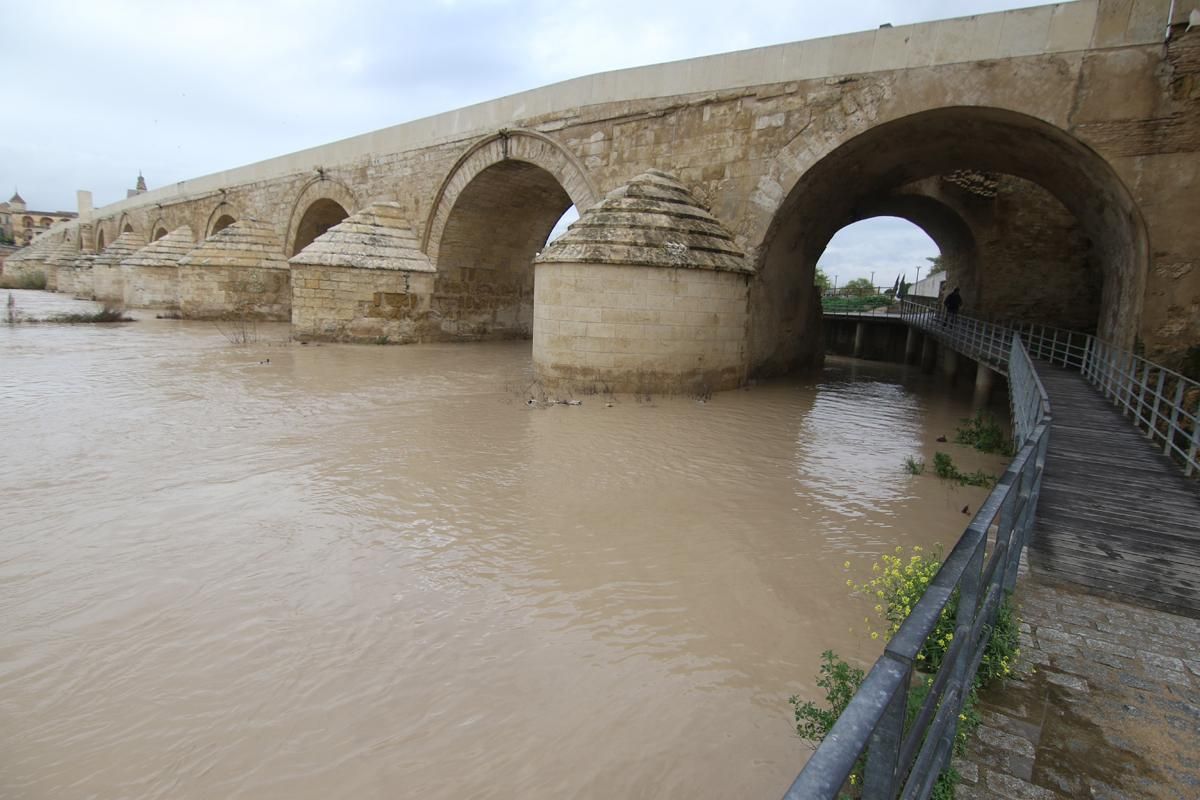 La lluvia en Córdoba deja una decena de incidencias