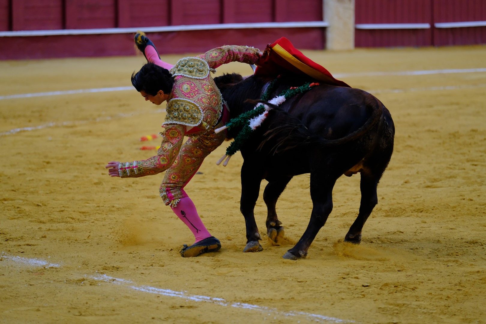 XVI Certamen Internacional de Escuelas Taurinas La Malagueta