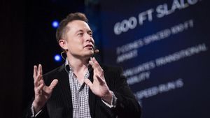 ¿Què és la plataforma Vine de Twitter i per què Elon Musk vol ressuscitar-la?