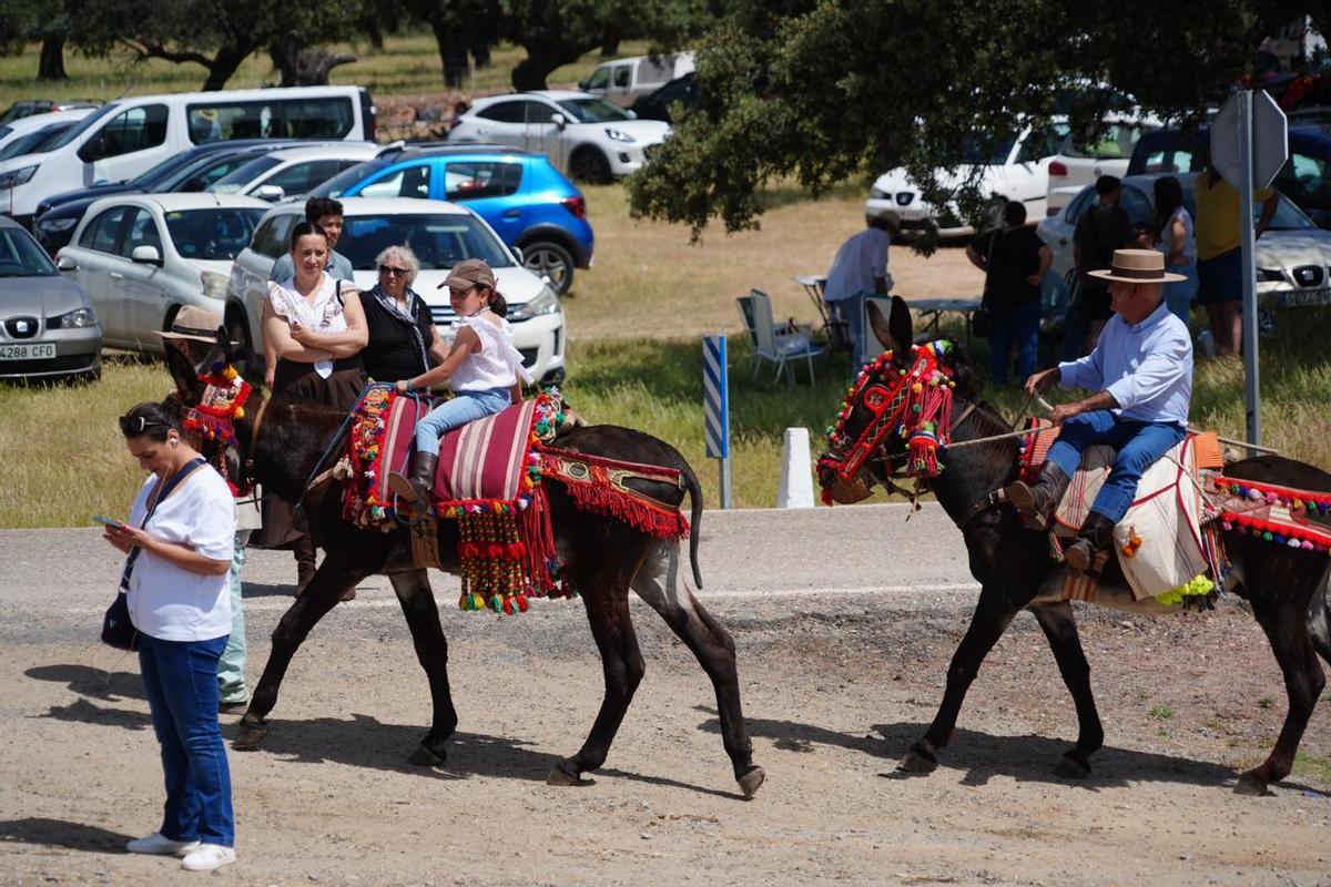 Villanueva de Córdoba recibe a la Virgen de Luna