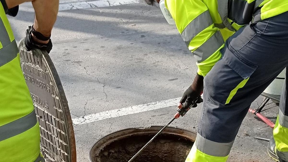 Desinsectación de plagas de cucarachas en Castelldefels.