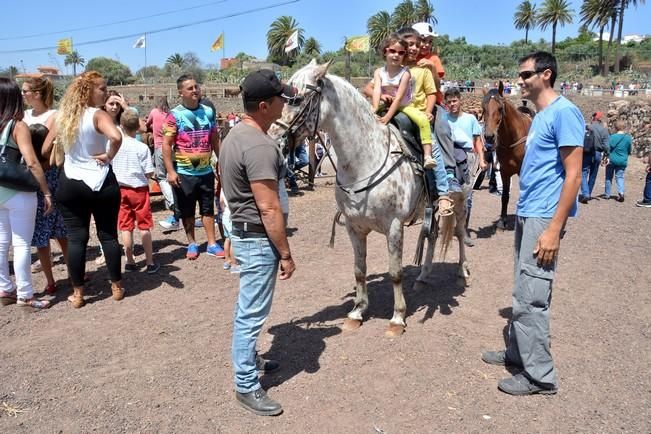 FIESTAS DE SAN PEDRO INGENIO