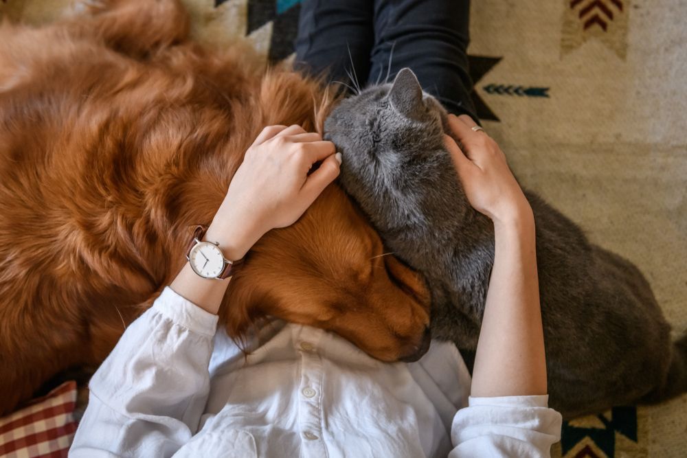 Un hombre abraza a sus mascotas.