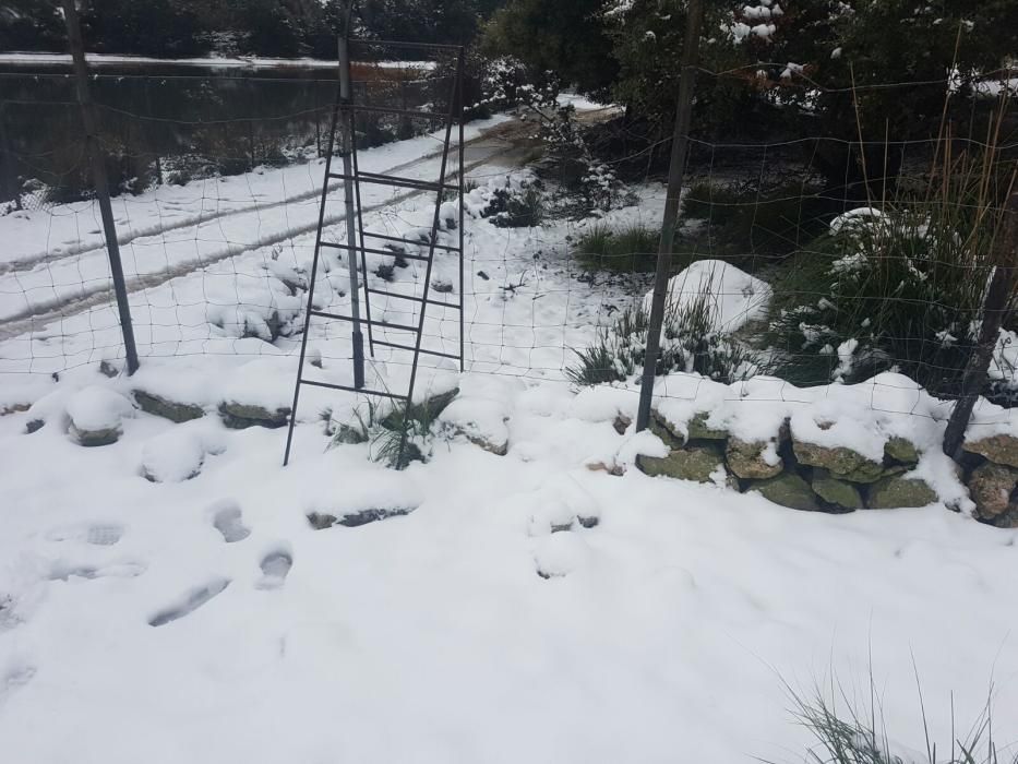 Am Samstag (10.2.) schneite es weiter in der Tramuntana.