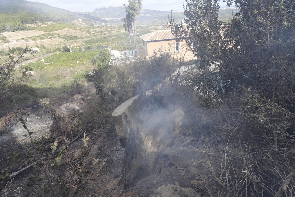 El incendio arrasa la urbanización Monte Corona de Ador